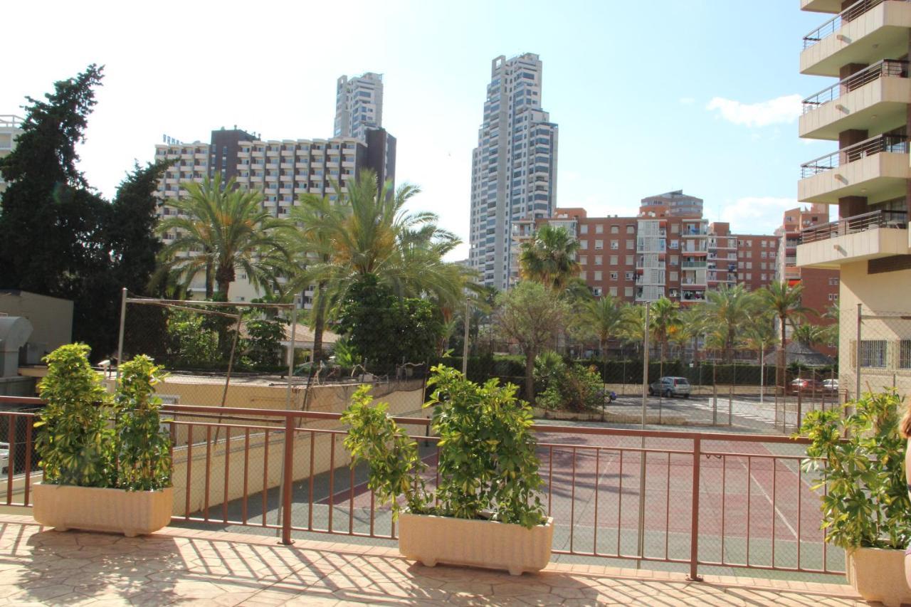 Acuarium Daire Benidorm Dış mekan fotoğraf